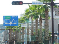 DSCN8685