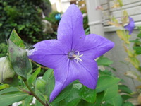 DSCN9468