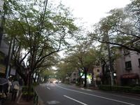 DSCN8401