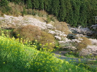 DSCF1432