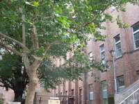 DSCN0351