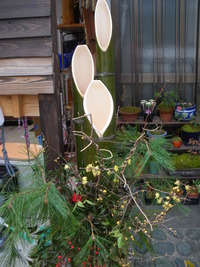 IMGP1367
