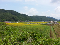 20140719_103524