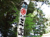 DSCF7072