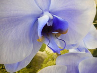 DSCN0408
