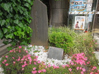 DSCN0566