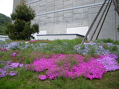 IMGP2303