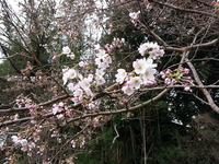20150331_102706