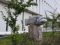 20150527_054038