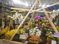 DSCN0416