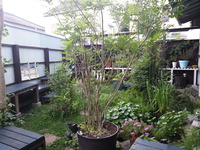 20170719_152959