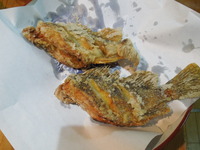 DSCN0097