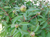 DSCN8769