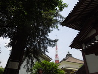 DSCN0423