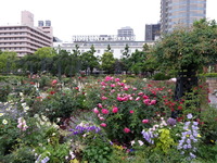 20160517_165424