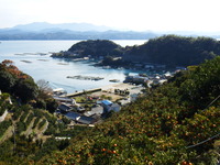 DSCF3308