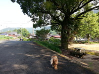 20160626_075022