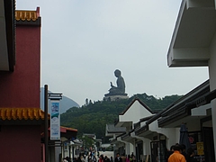 IMGP5425