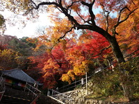 20141124_135706