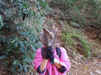 DSCN0717