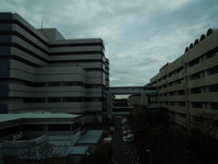 DSCN3405