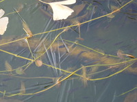 DSCN2407