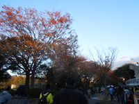 DSCN0483