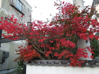 DSCN1245