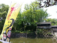 20160520_115920