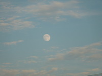 DSCN0188