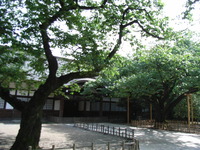 RIMG0294