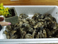 DSCN0088
