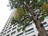 DSCN9303