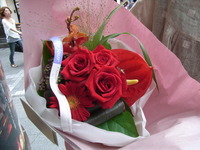 RIMG0285