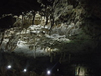 DSCN5723