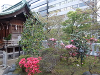 DSCN8238