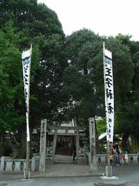 RIMG0247