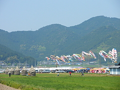 IMGP2379