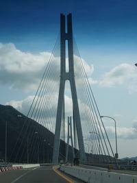 DSCN5626