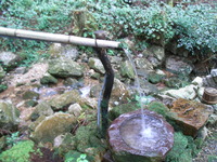 RIMG0683