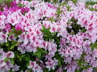 20150430_150342