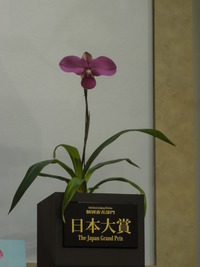 DSCN9946