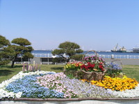 RIMG0082
