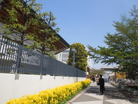 DSCN8504