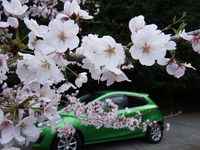 DSCF1418