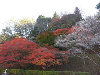 20141121_134229