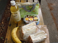 DSCN0668