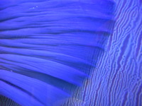 DSCN0466