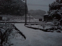 20170123_065419
