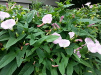20140629_093714